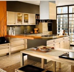 kitchen (325/345)